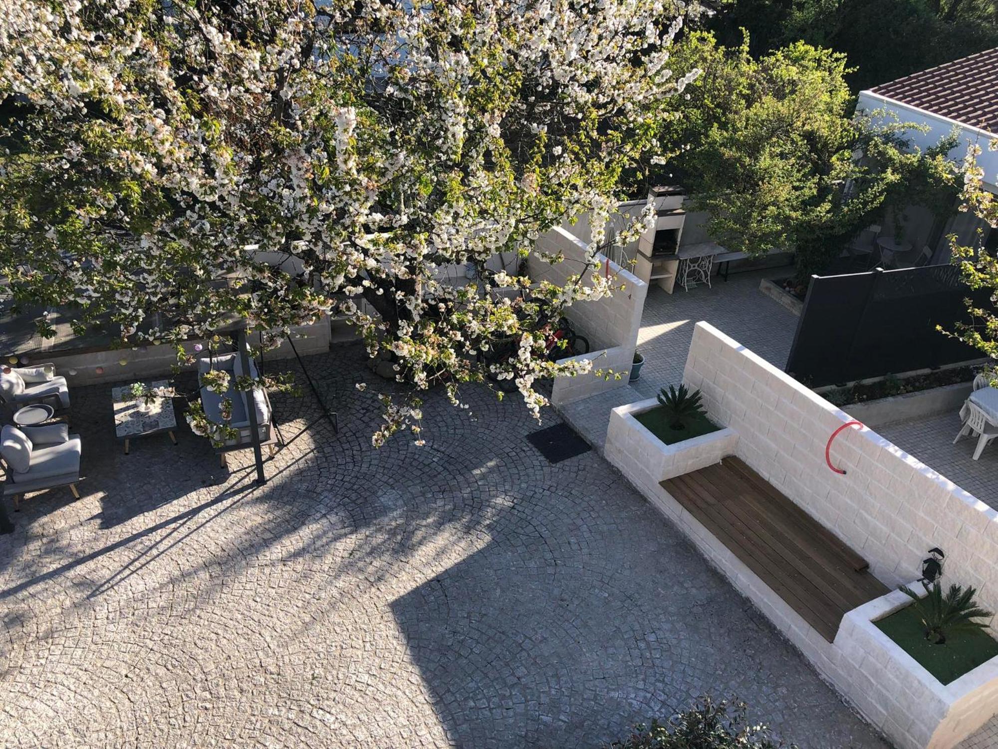 הוילה Góis Casa Da Avo Olinda מראה חיצוני תמונה