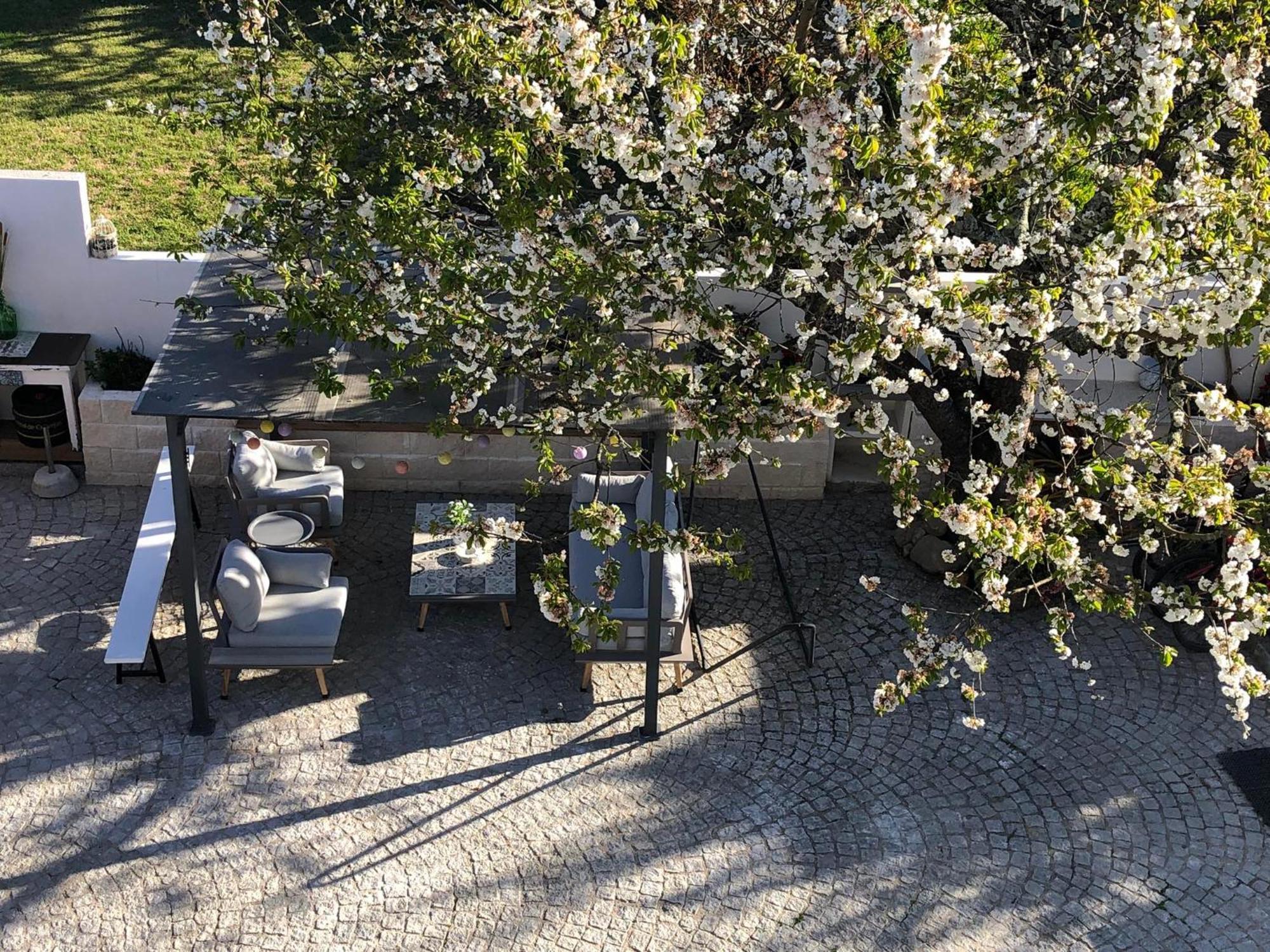 הוילה Góis Casa Da Avo Olinda מראה חיצוני תמונה